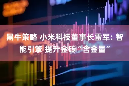 黑牛策略 小米科技董事长雷军: 智能引擎 提升金砖“含金量”