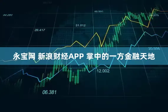 永宝网 新浪财经APP 掌中的一方金融天地
